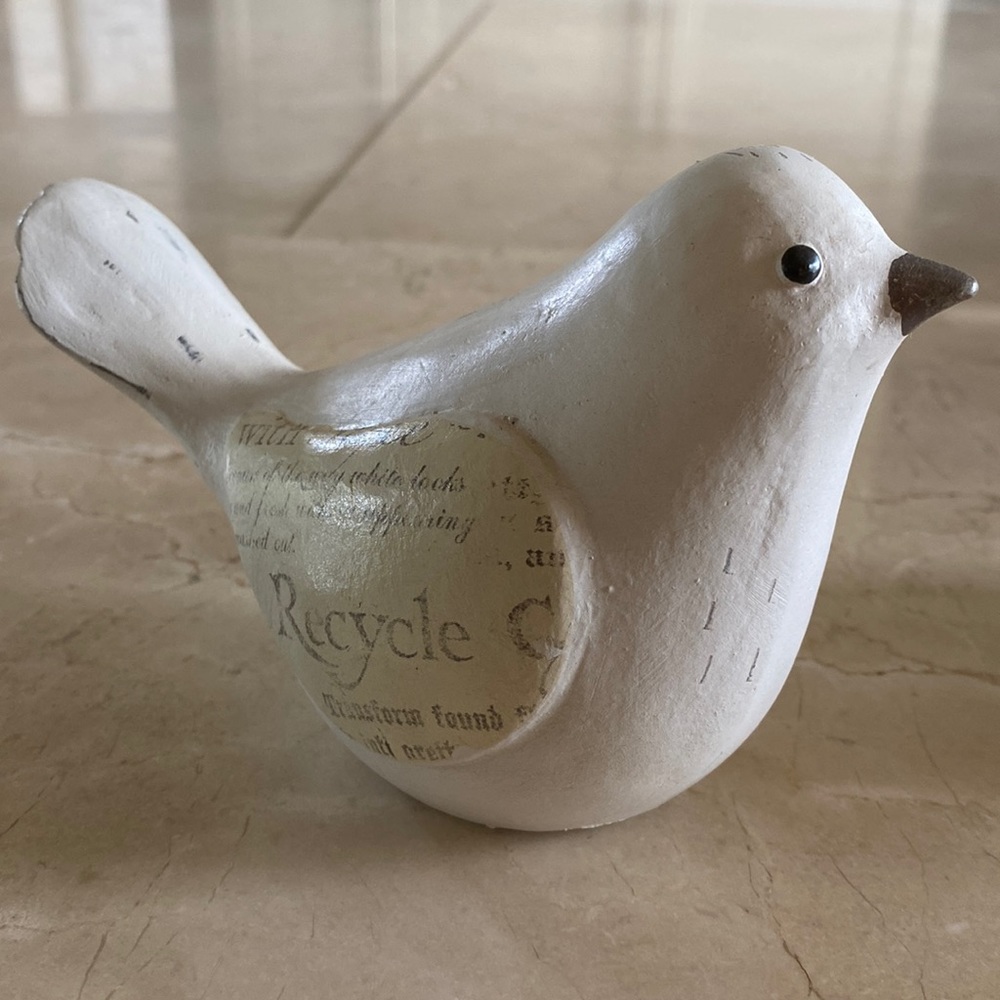 Pair of white birds